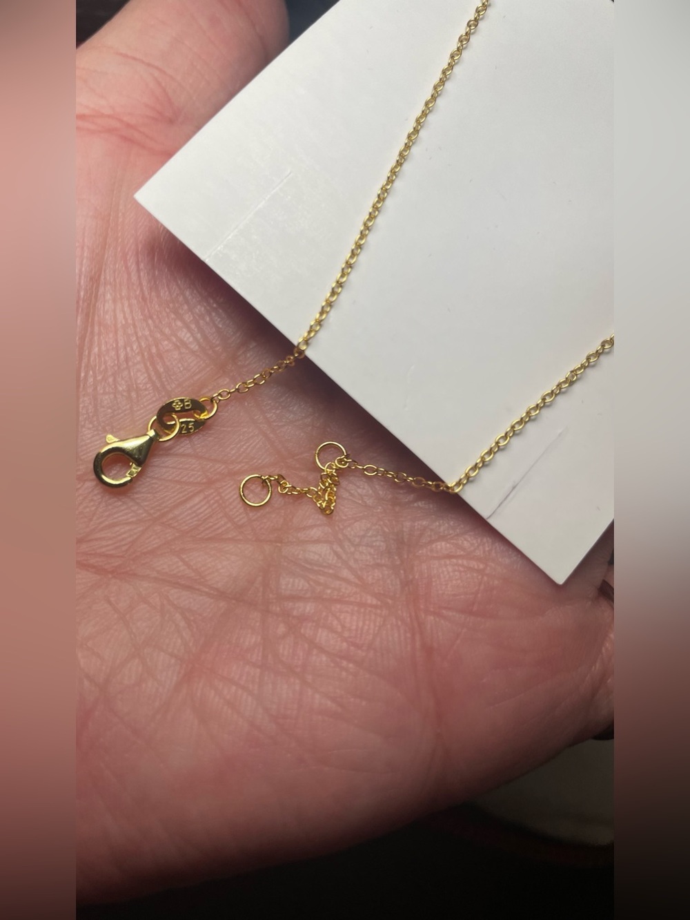 Anklet - Picture 5 of 5